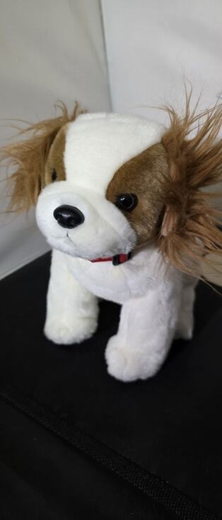 Ty Other - Ty Classic ROMPER the Dog 11” Plush Stuffed Animal Toy 2001 0111